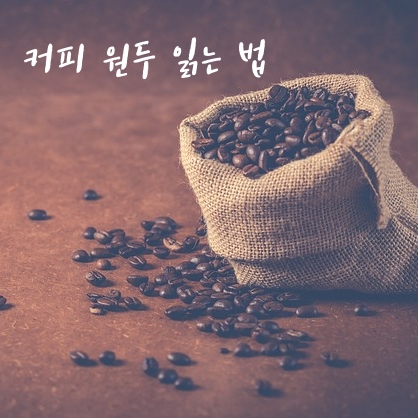 제목_커피 원두 읽는 법