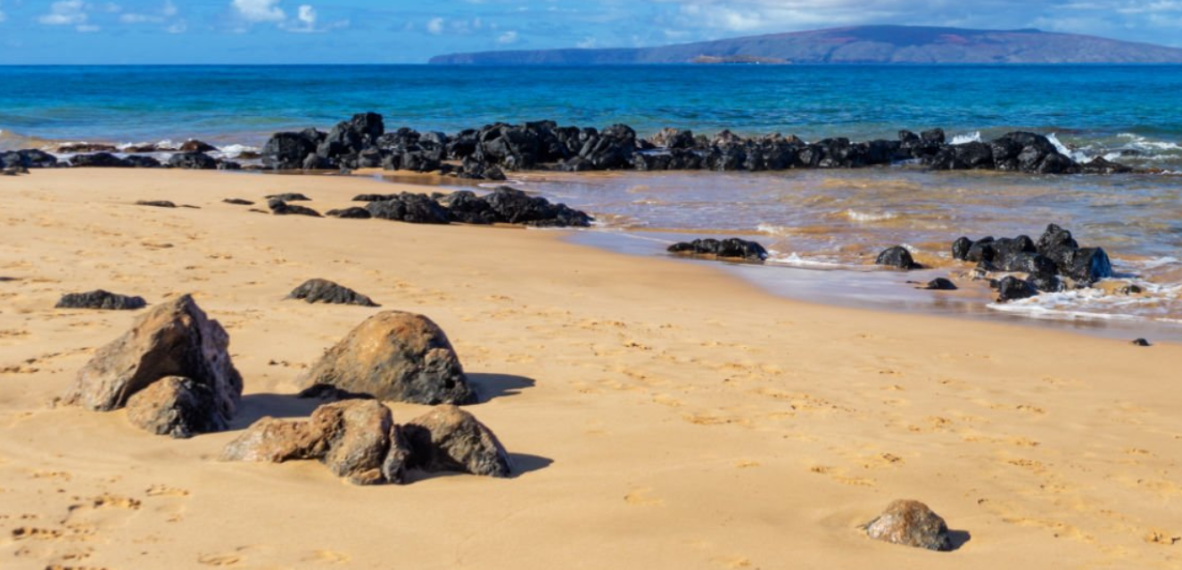 자연을 붓 삼아 쓰는 손끝의 예술