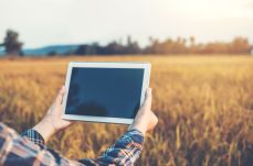 정년없는 직업 손해평가사