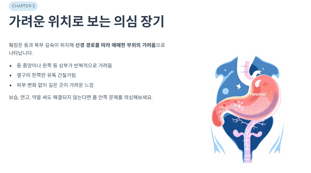 가려운 위치로 보는 의심 장기