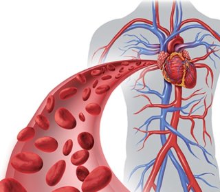솔잎 효능&amp;#44; 피톤치드로 지키는 자연 건강 비밀