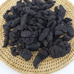 숙지황 약재
