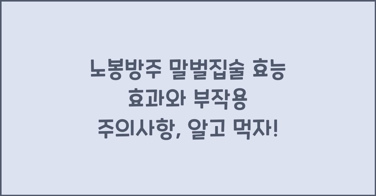 노봉방주 말벌집술 효능 효과와 부작용 및 주의사항