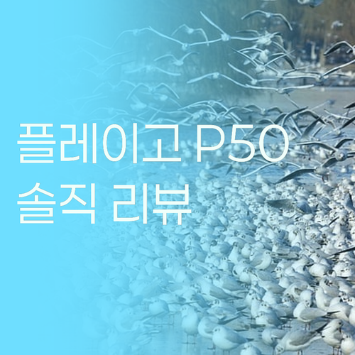 가성비 USB 메모리 추천 플레이고 ..