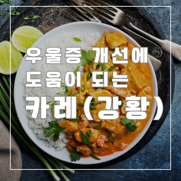우울증 개선에 도움이 되는 카레