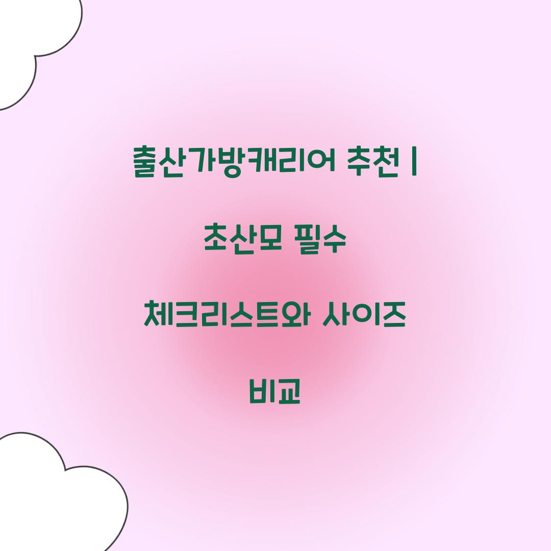 출산가방캐리어 추천