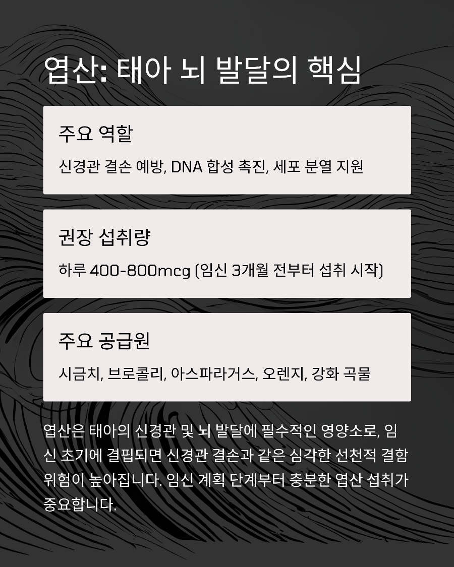 엽산&amp;#44; 철분&amp;#44; DHA 언제부터 임신 초기 영양제 순서 헷갈린다면
