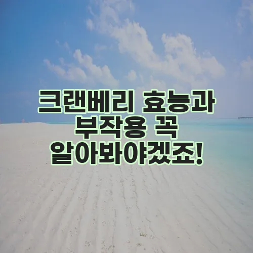 크랜베리 효능과 부작용 꼭 알아봐야겠죠!
