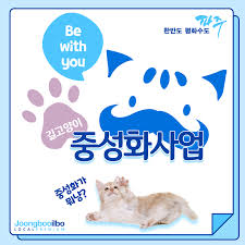 길고양이 중성화