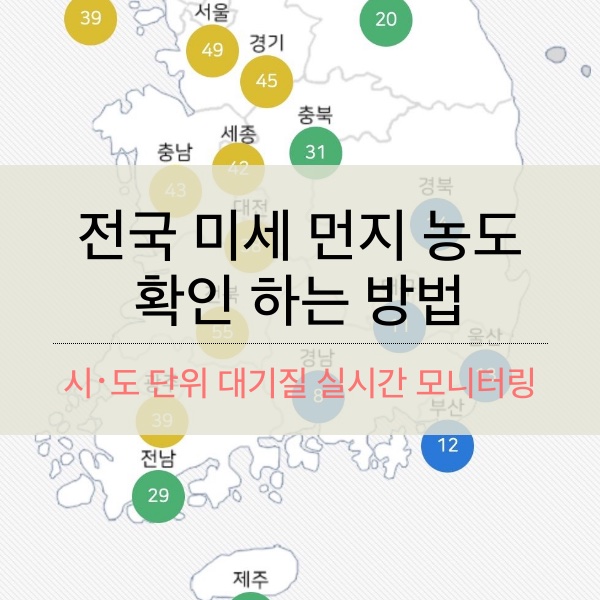 [황사] 전국 미세 먼지 농도 확인 하는 방법
