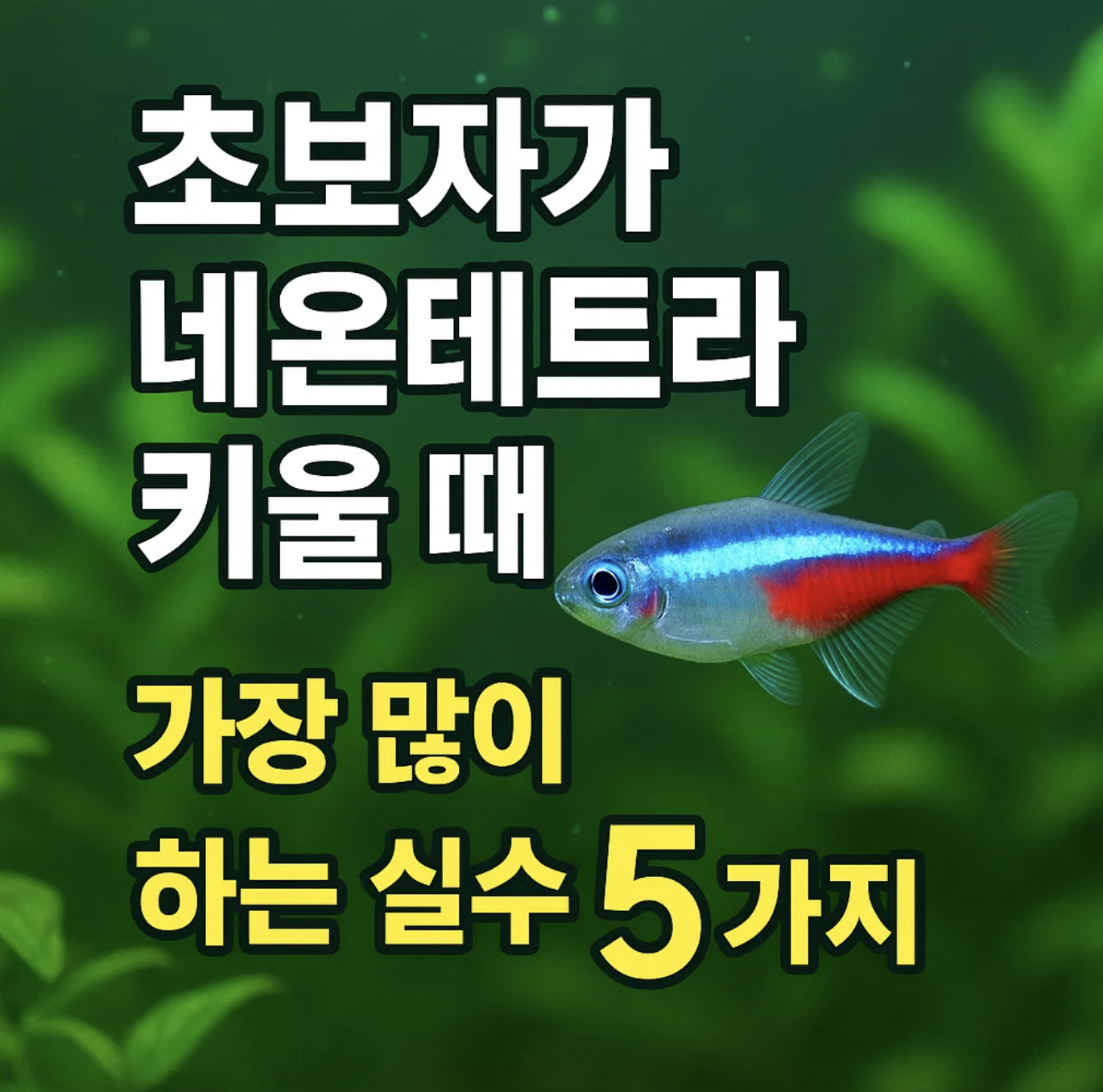 초보자가 네온테트라 키울 때 가장 많이 하는 실수 5가지