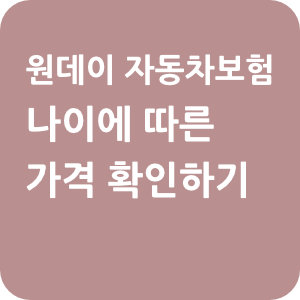 원데이-자동차보험-나이-가격