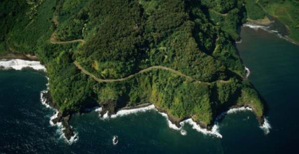 하와이 신혼여행