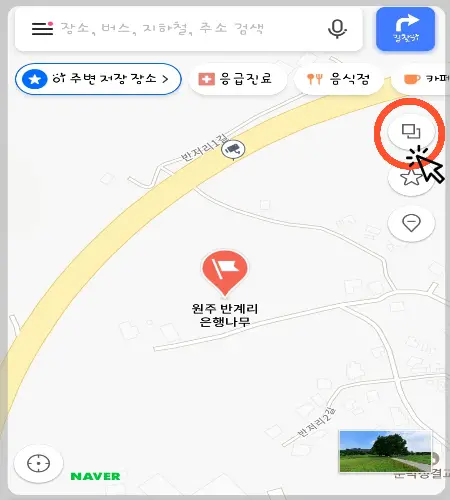 반계리 은행나무 실시간