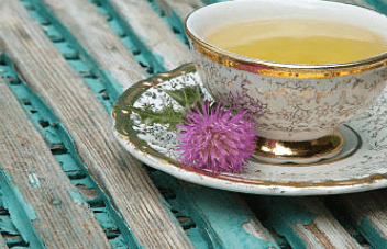 우엉차 효능 10가지 및 부작용