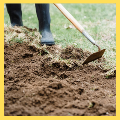 농어민수당신청 