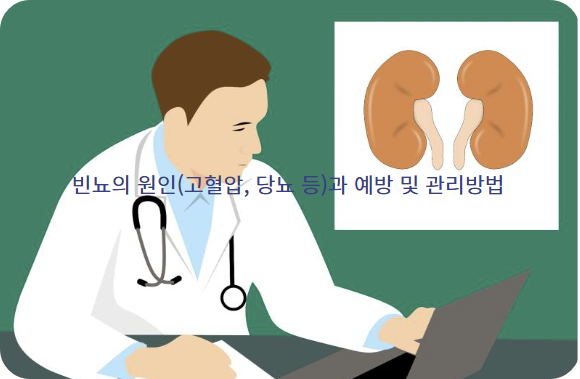 빈뇨의 원인(고혈압, 당뇨 등)과 예방 및 관리방법