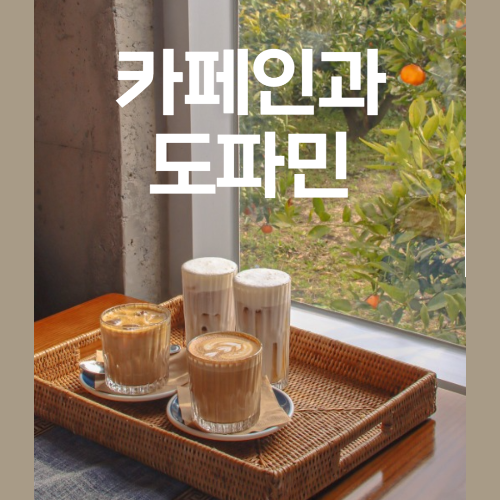 카페인과 도파민 사진