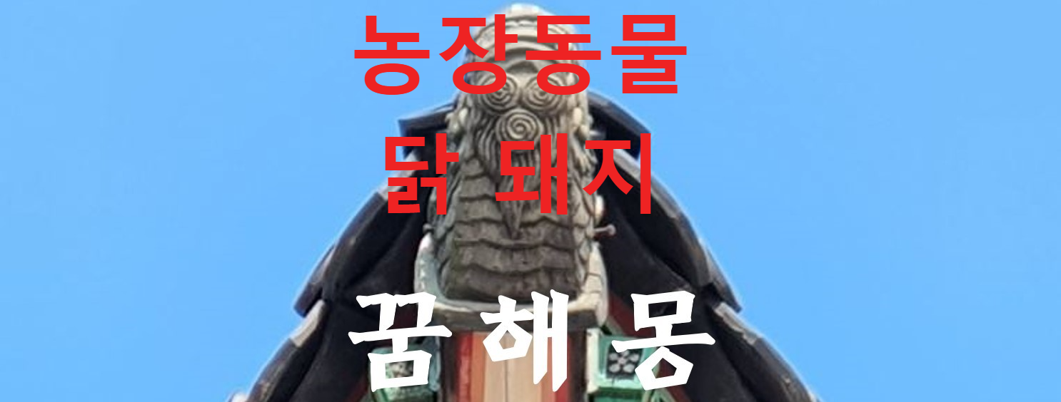 꿈해몽