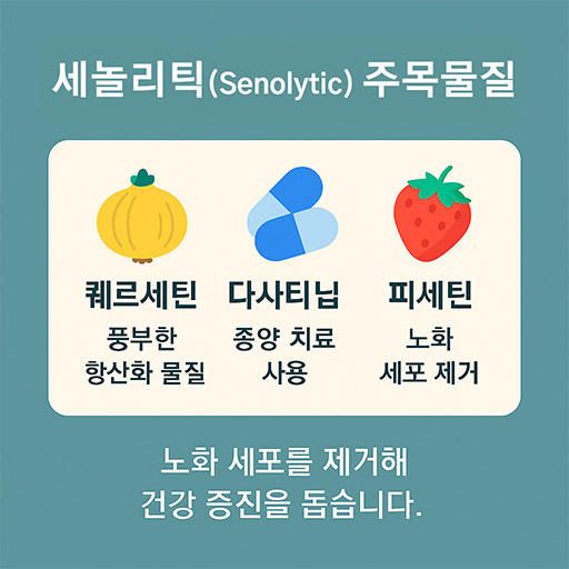 세놀리틱스, 주목 받는 장수 물질 (퀘르세틴, 다사티닙, 피세틴)