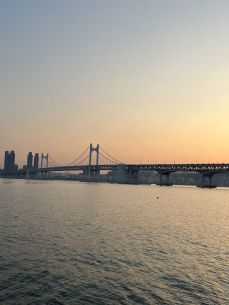  부산 요트투어 추천 