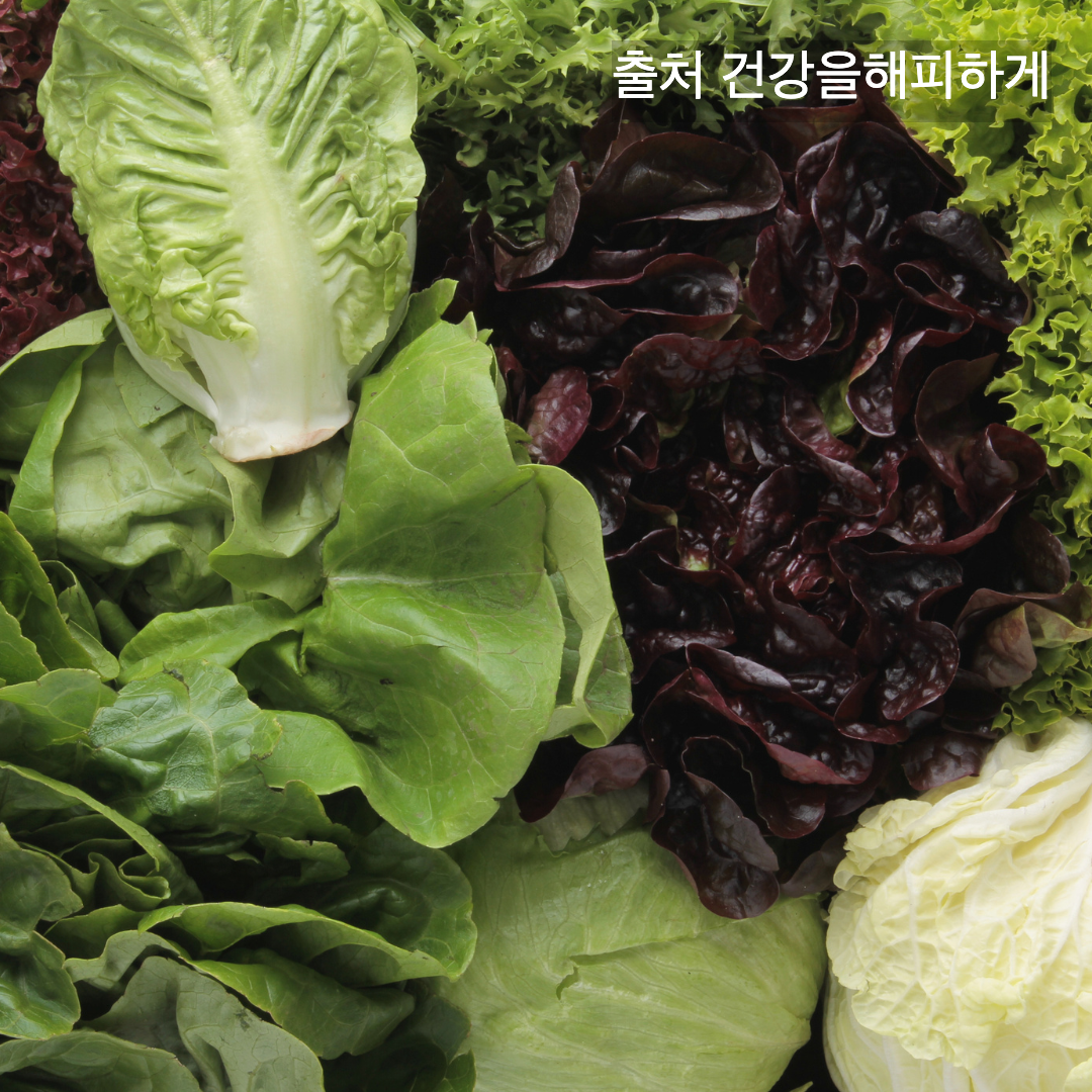 상추의 효능 부작용 칼로리 다이어트할 때 꼭 알아야 할 상극 음식