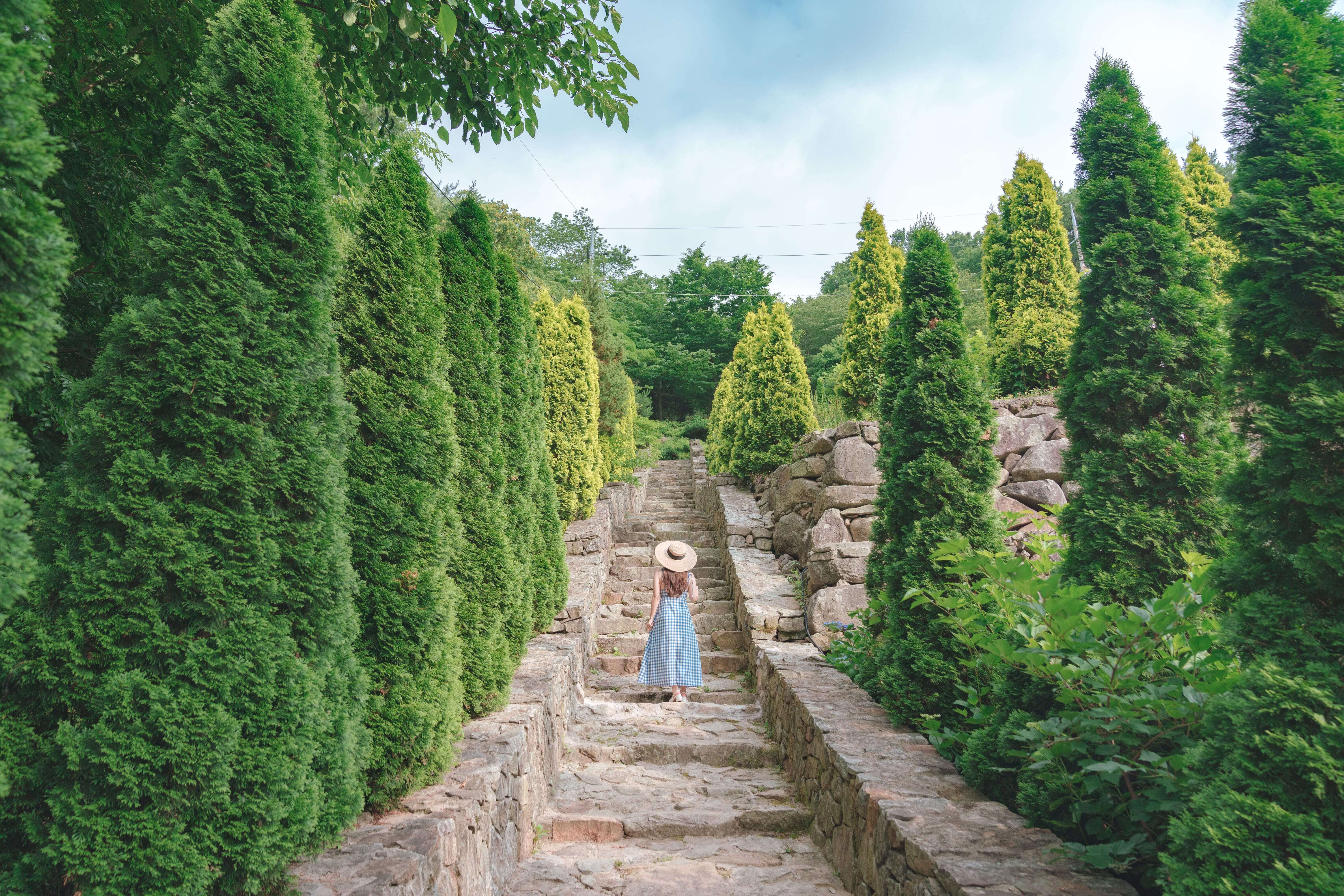 고성 그레이스 정원