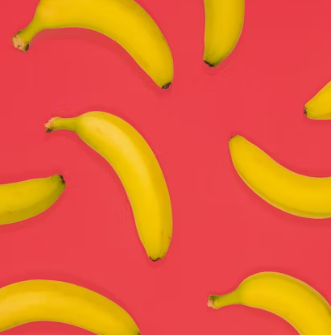 위궤양에 좋은 음식 영양제 식단