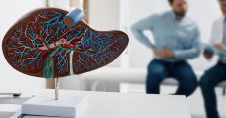 몸이 가려운 이유 18