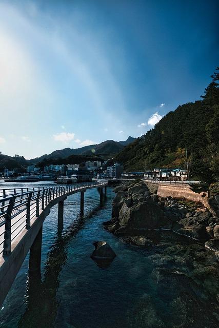 울릉도 독도 지도 한눈에 보기 위치·이동방법·거리까지 총정리