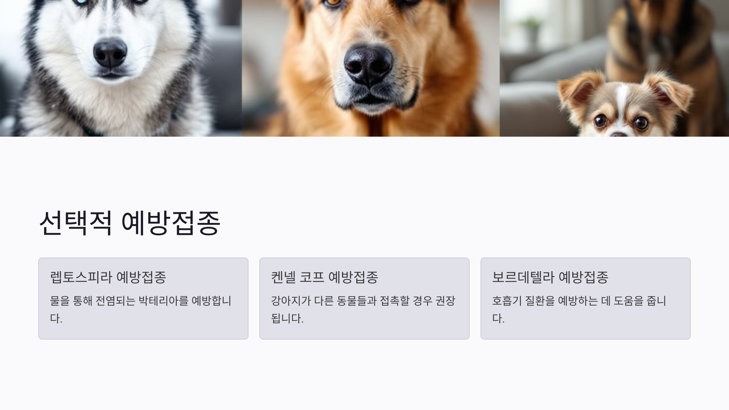 선택적 예방접종