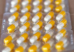 중복 보양식 추어탕 능이백숙