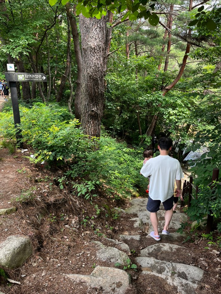 길따라 올라가면 위쪽에 자연괄찰로라는 푯말이 나오며 이쪽 아래로 내려갑니다.
