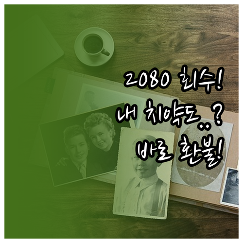 2080 치약 회수 번호 확인과 마트..