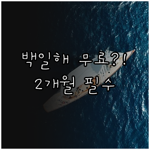 2개월 아기 백일해 백신 무료 접종 ..