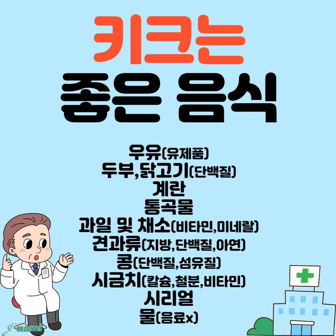 키크는 음식 키크는 운동 요약 정리