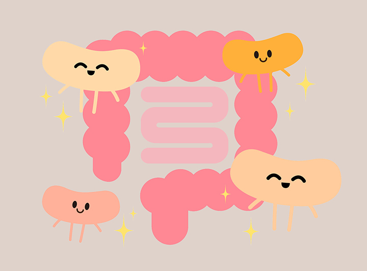 건강한-소화기관