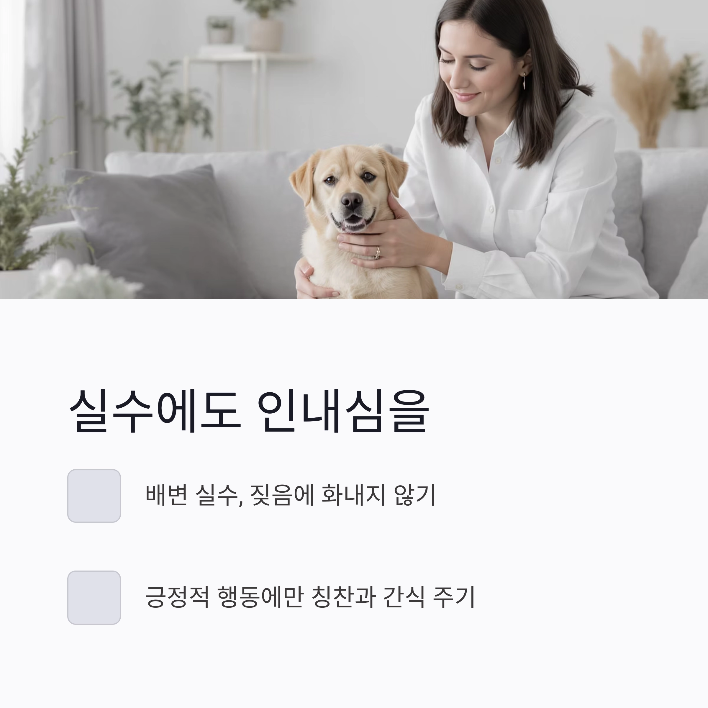 입양 후 첫 일주일, 반려동물과 친해지는 마법의 시간