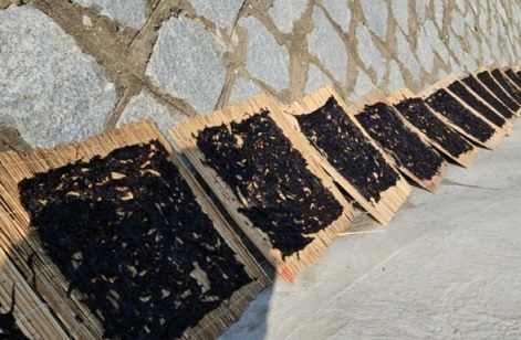 울릉도-돌김-한국기행