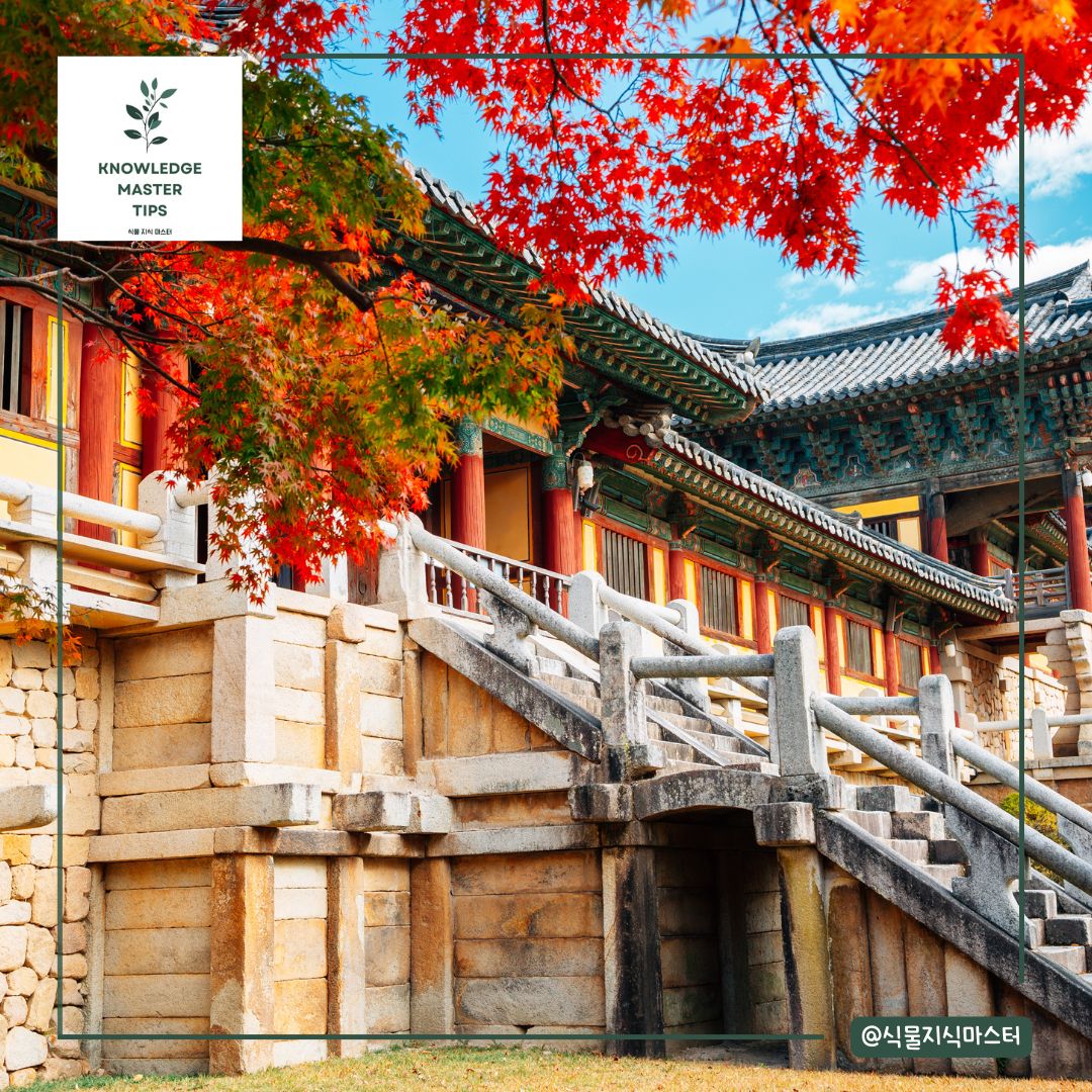 경상도 단풍 명소 - 경주 불국사