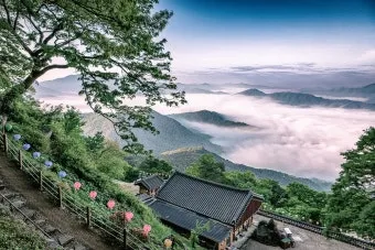 곡성 가볼만한곳 베스트10 기차마을 섬진강길 카페 산책_13