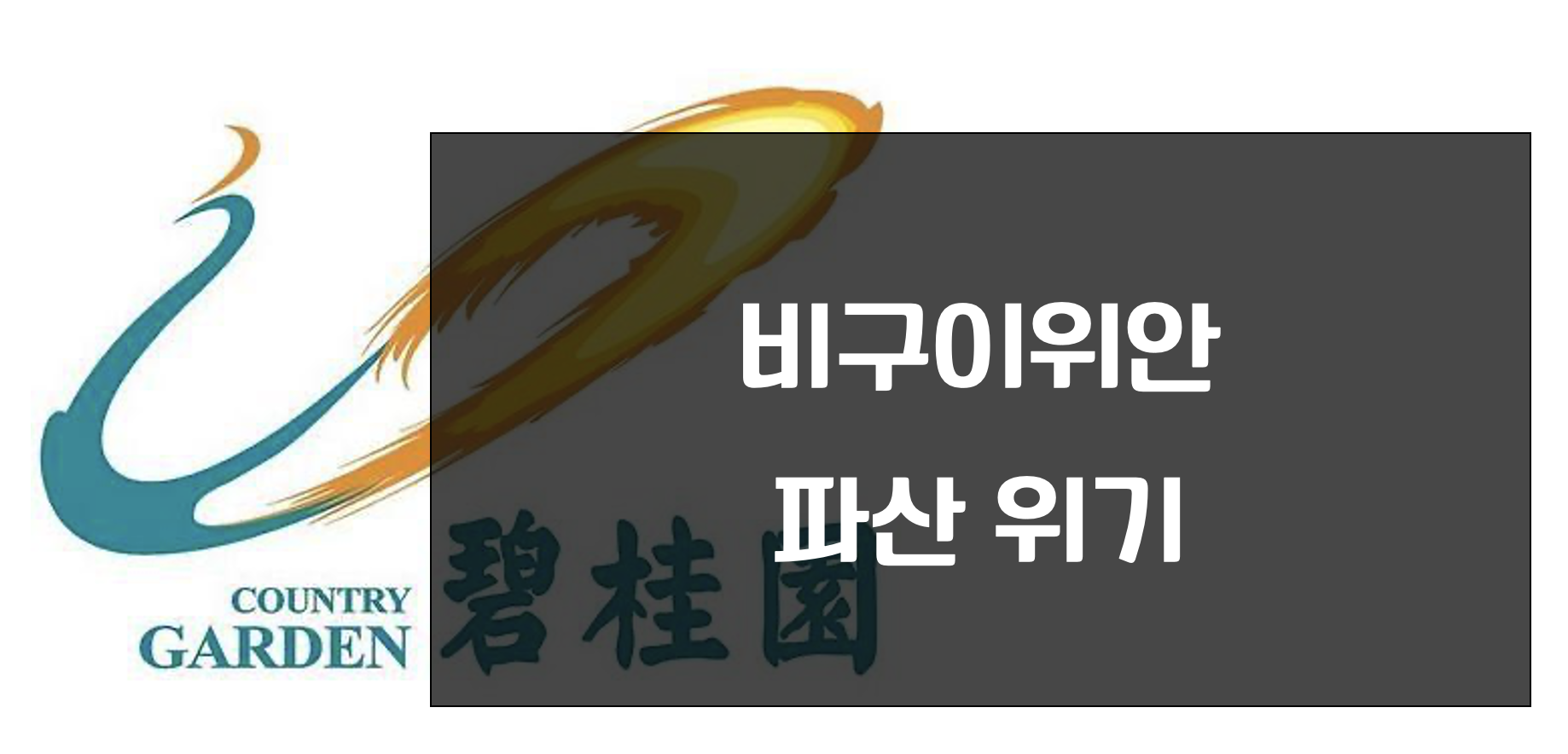 비구이위안 디폴트