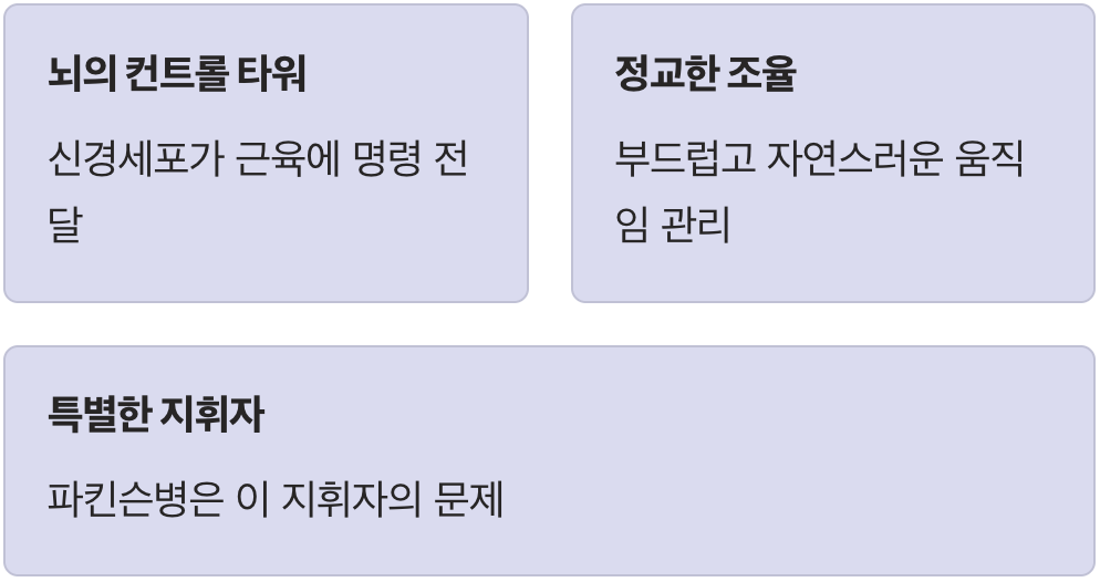 우리 뇌 속, 부드러운 움직임의 지휘자