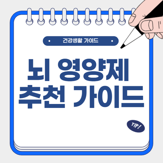 뇌 영양제 추천