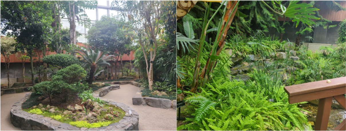 부천 무릉도원수목원/부천 자연생태공원