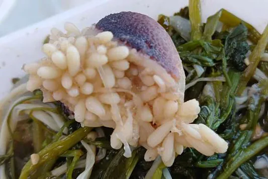 서산회관