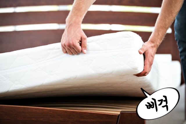 침대 삐그덕 삐걱 소리 원인,팁줌 매일꿀정보