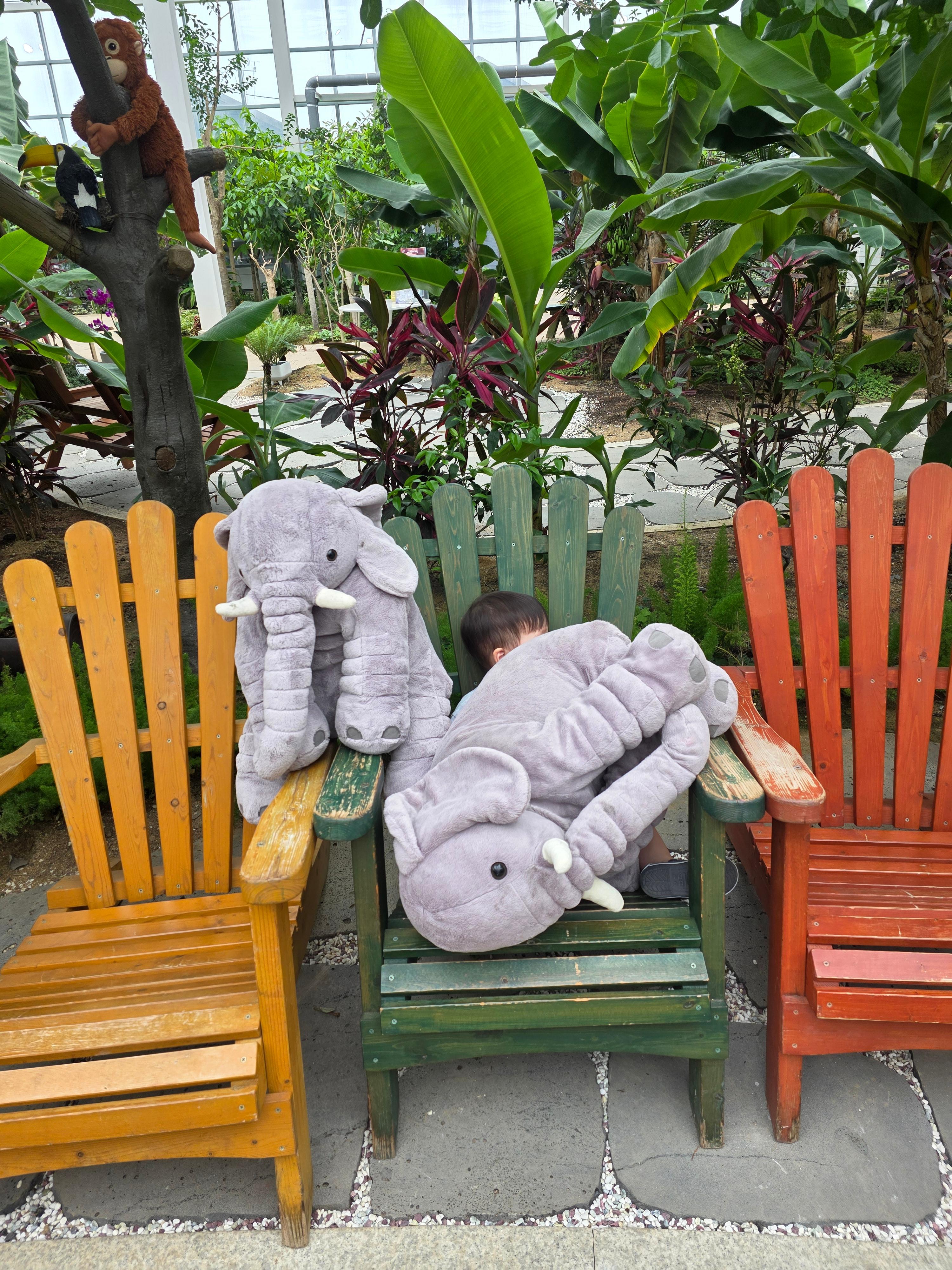 제천 아열대 스마트 온실 아이랑