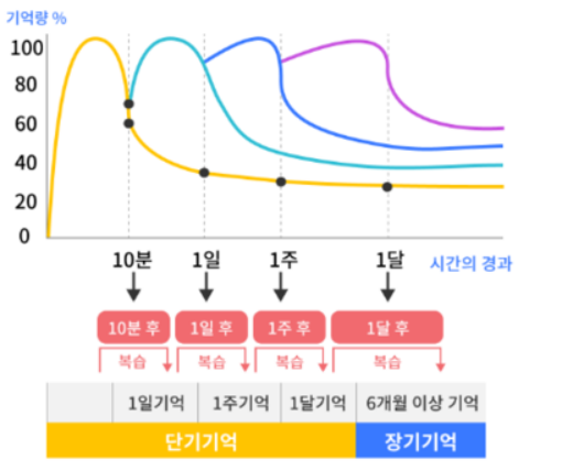 에빙하우스 망각곡선