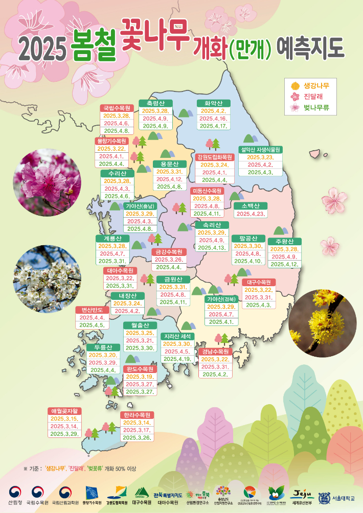 2025 봄철 꽃나무 개화(만개) 예측지도